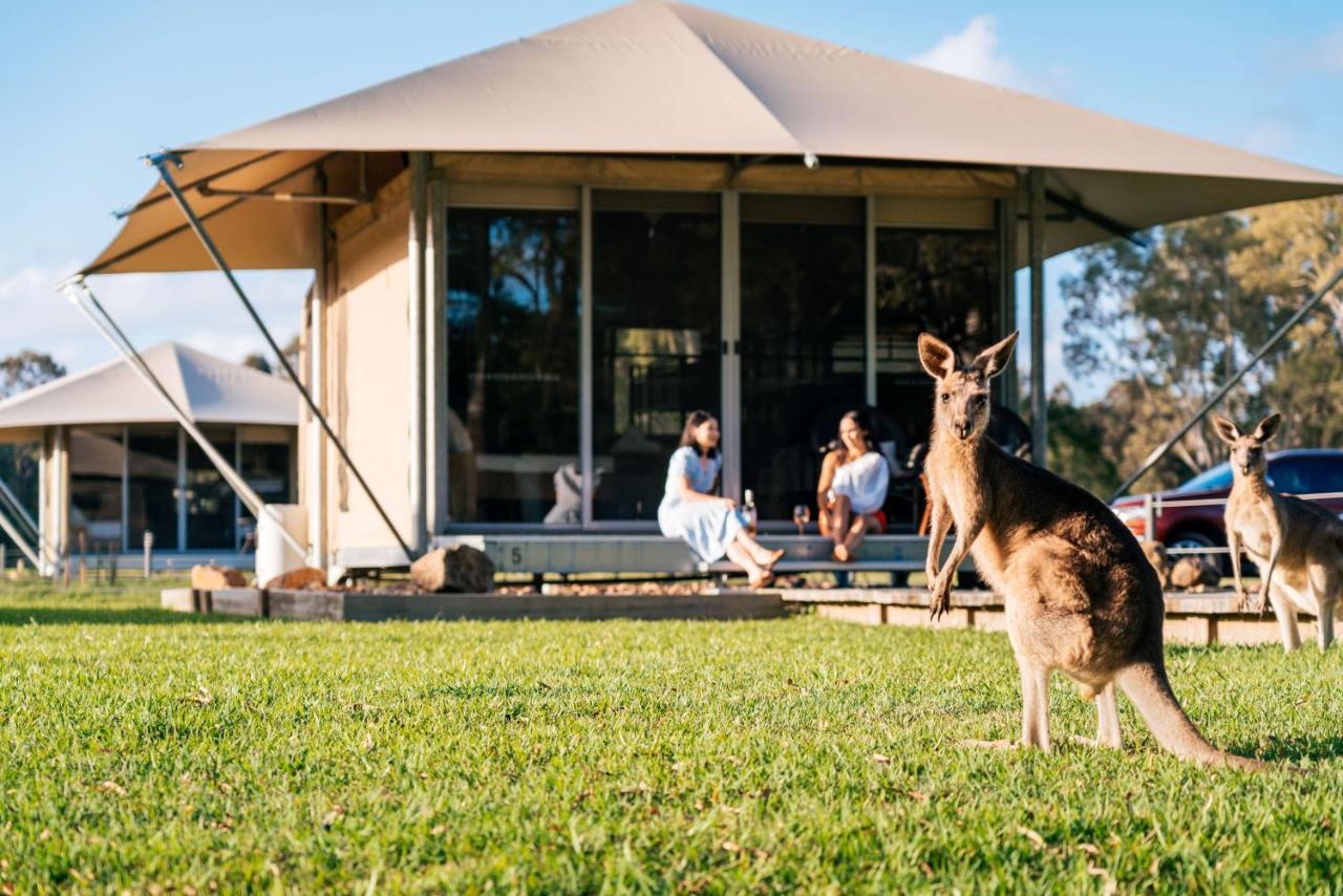 Habitat Noosa Hotel Cootharaba Kültér fotó
