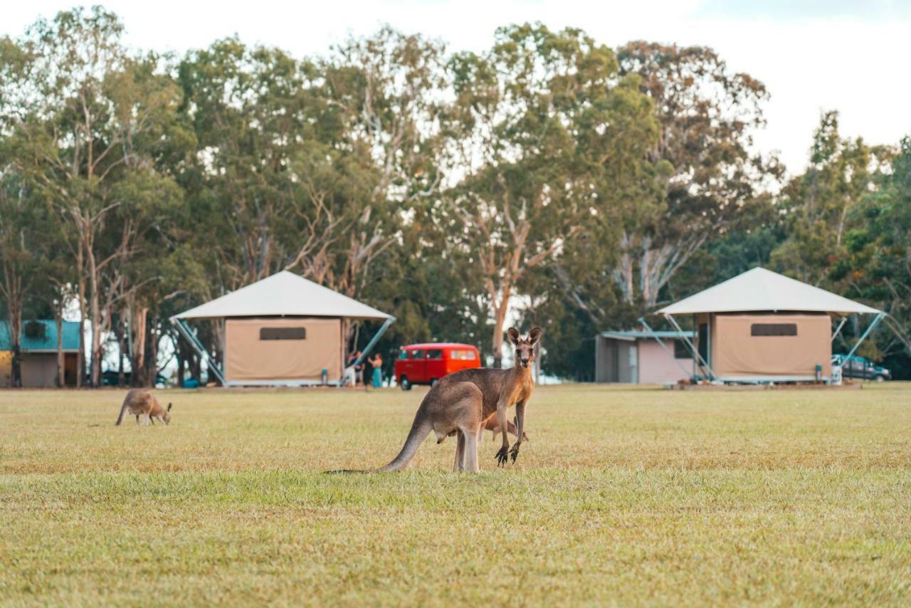 Habitat Noosa Hotel Cootharaba Kültér fotó
