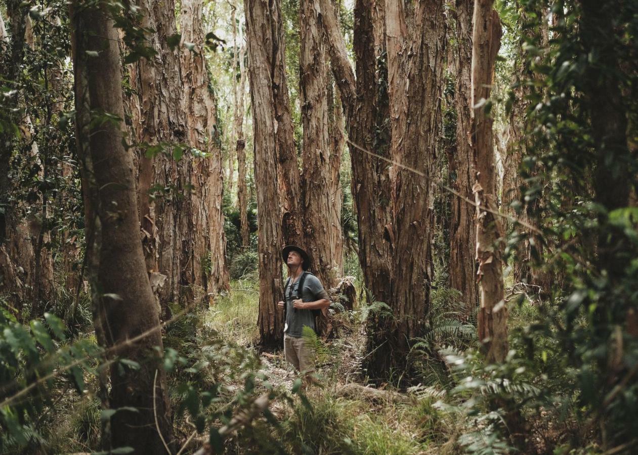Habitat Noosa Hotel Cootharaba Kültér fotó